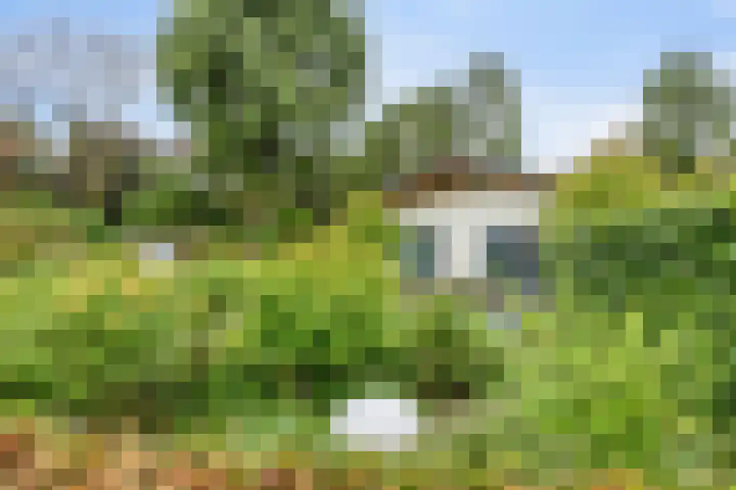 De Stille Wille 316 Oost West en Middelbeers thumbnail 49