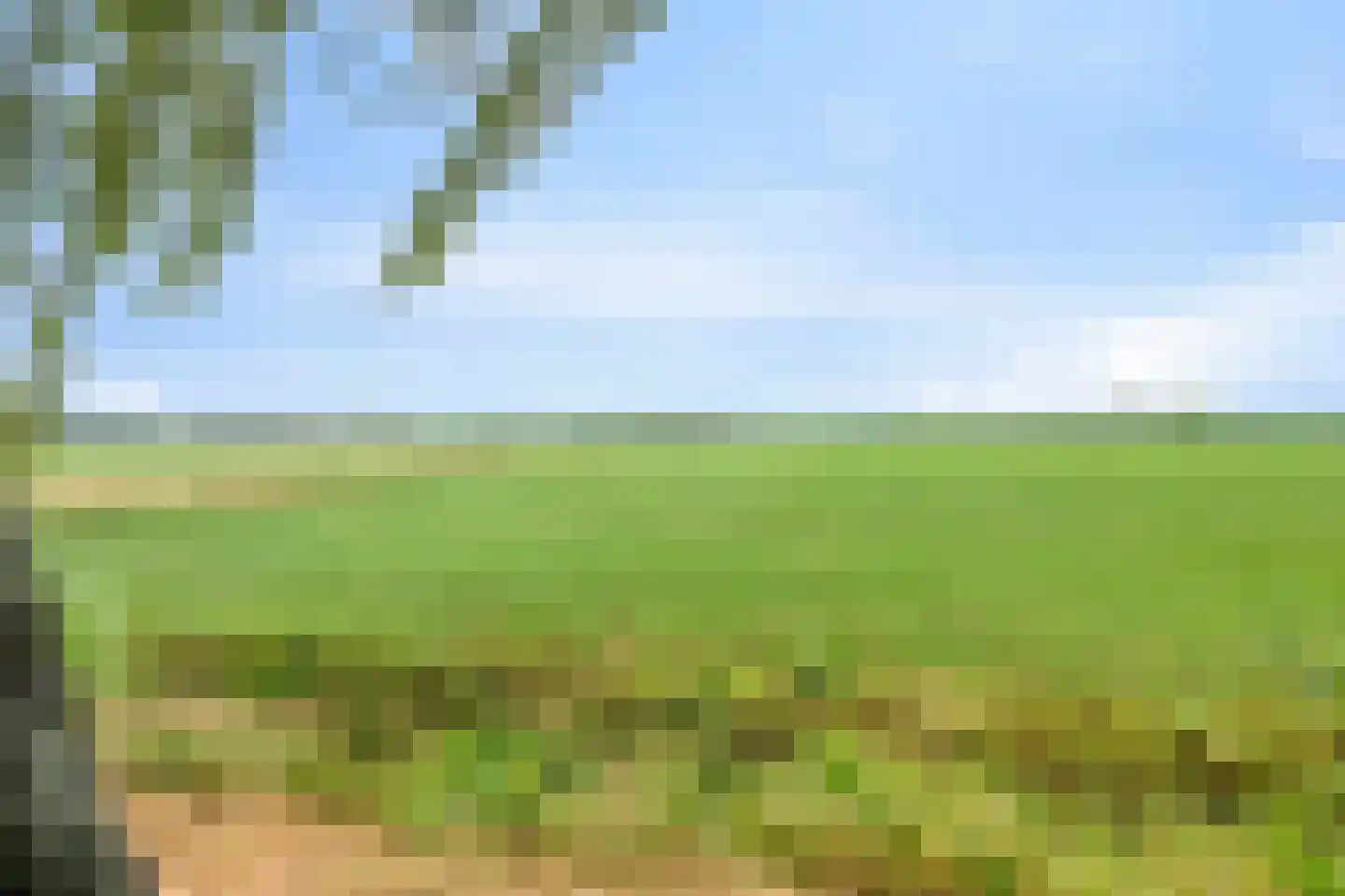 De Stille Wille 316 Oost West en Middelbeers thumbnail 51