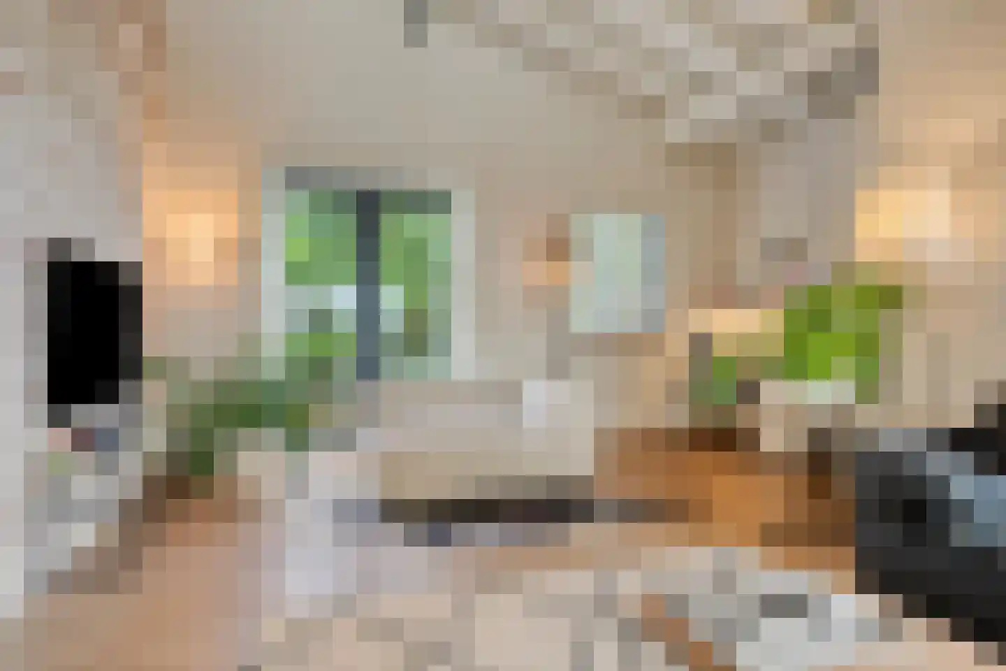 De Stille Wille 316 Oost West en Middelbeers thumbnail 6
