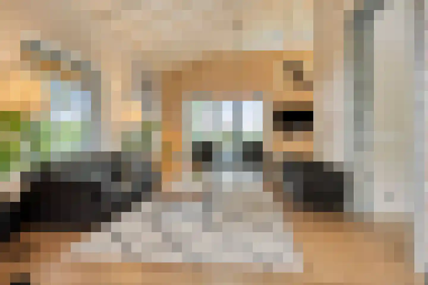 De Stille Wille 316 Oost West en Middelbeers thumbnail 8