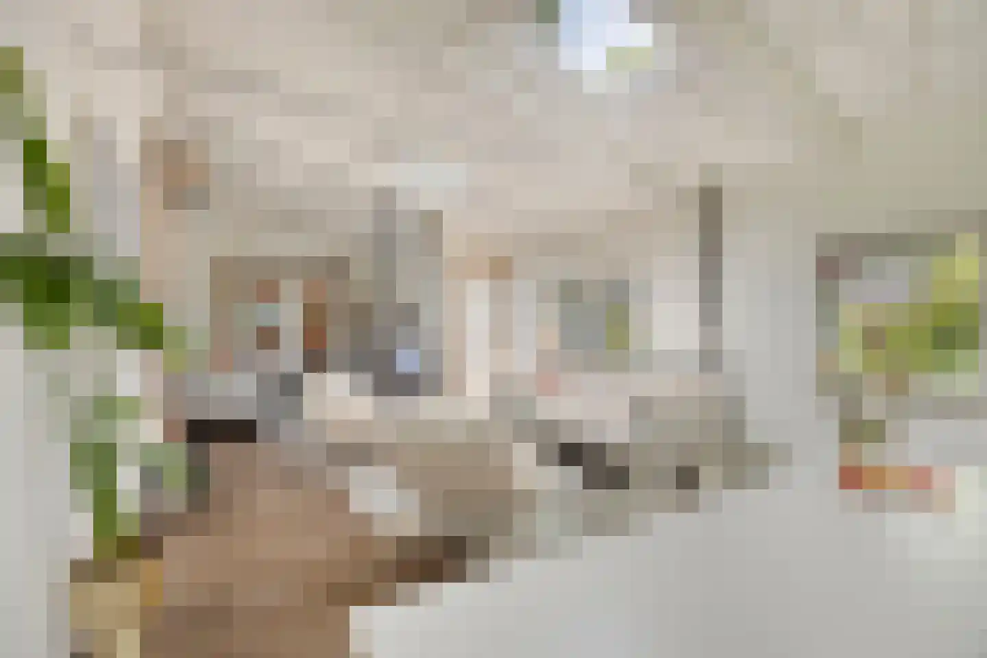 De Stille Wille 319 Oost West en Middelbeers thumbnail 14