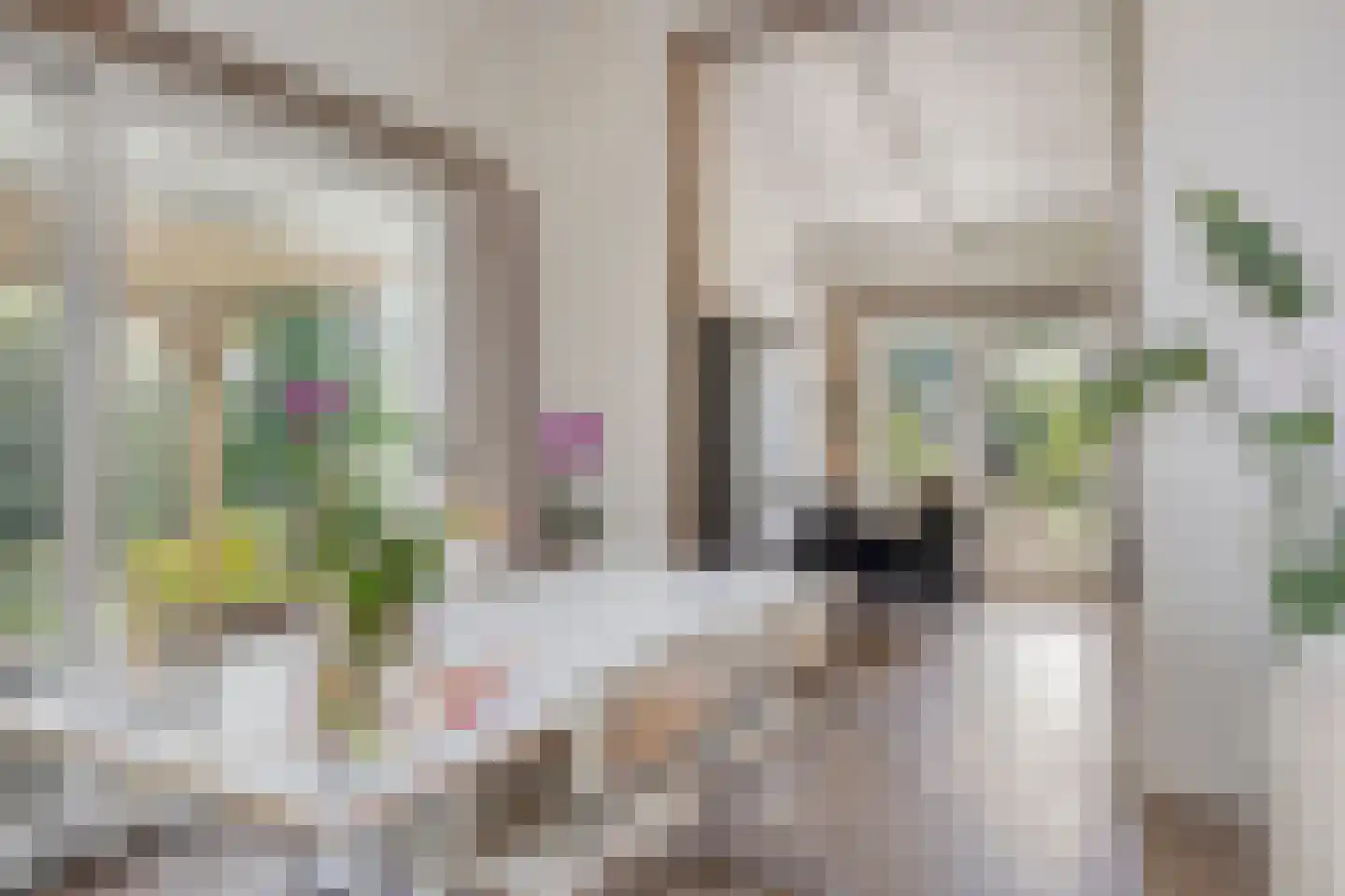 De Stille Wille 319 Oost West en Middelbeers thumbnail 15