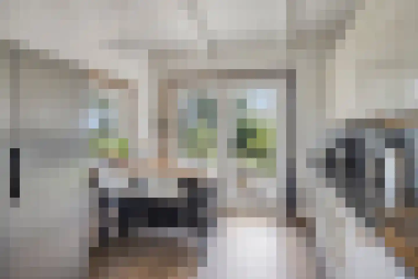 De Stille Wille 319 Oost West en Middelbeers thumbnail 17