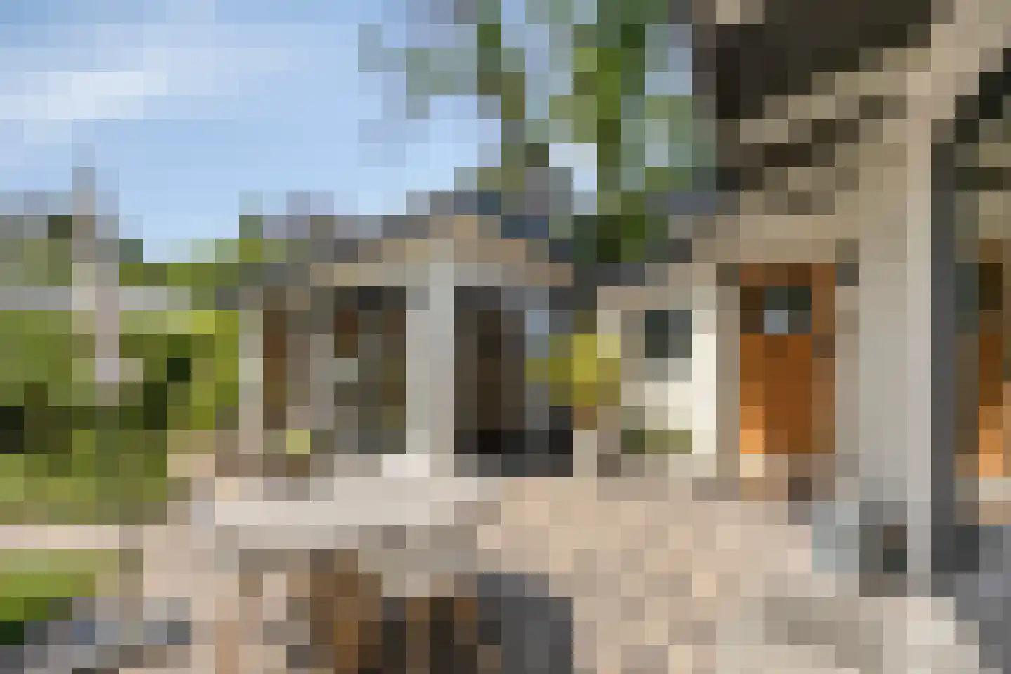 De Stille Wille 319 Oost West en Middelbeers thumbnail 25