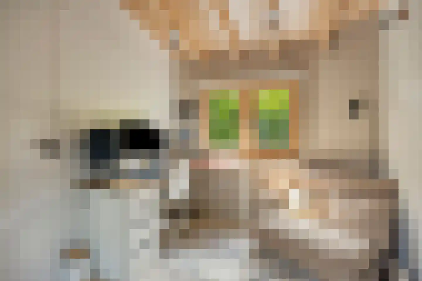 De Stille Wille 319 Oost West en Middelbeers thumbnail 26