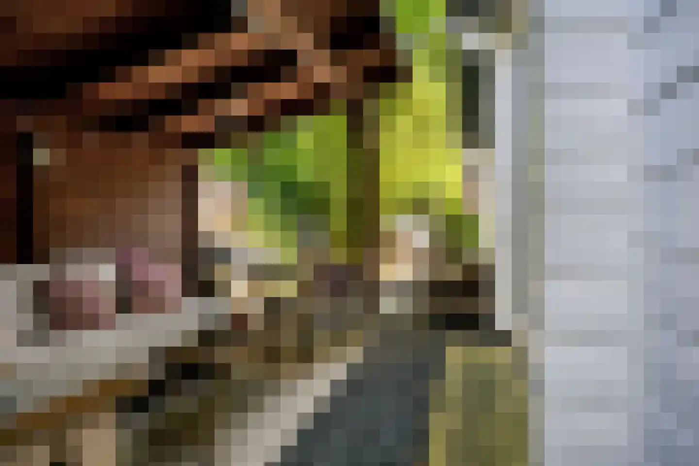 De Stille Wille 319 Oost West en Middelbeers thumbnail 34