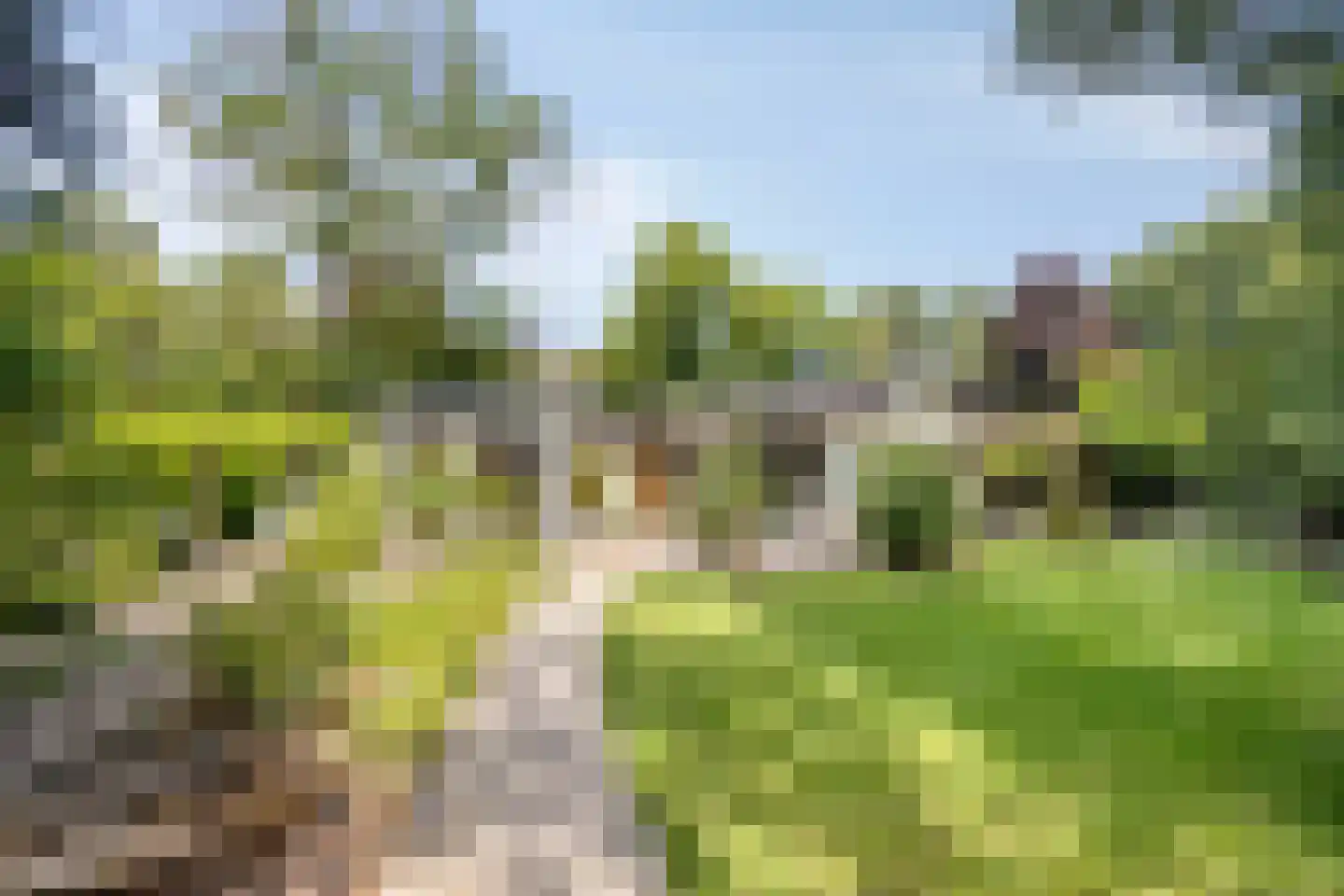 De Stille Wille 319 Oost West en Middelbeers thumbnail 37