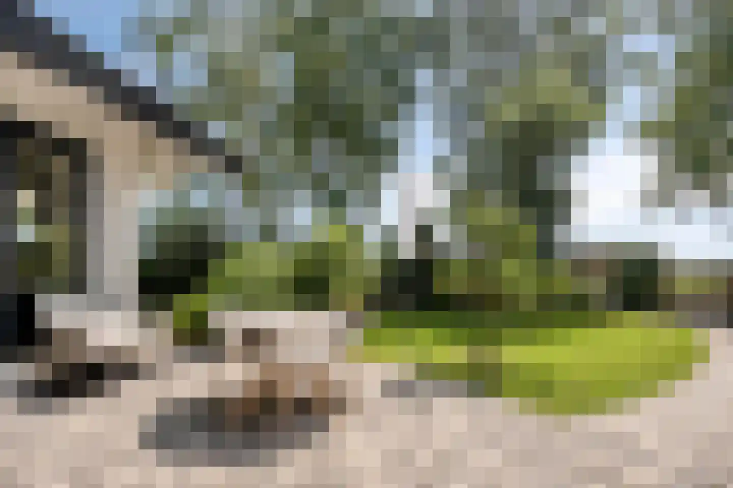 De Stille Wille 319 Oost West en Middelbeers thumbnail 40