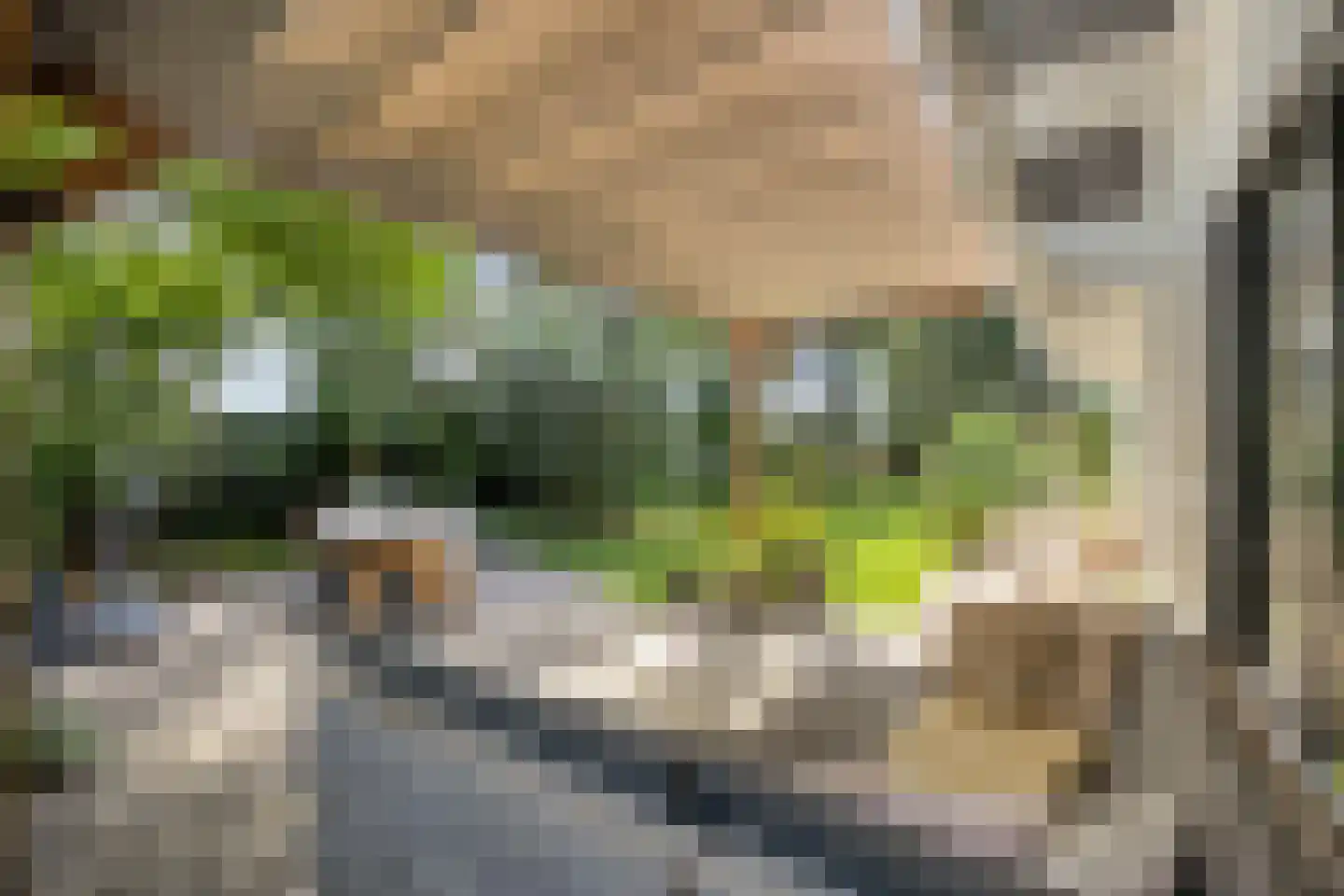 De Stille Wille 319 Oost West en Middelbeers thumbnail 43