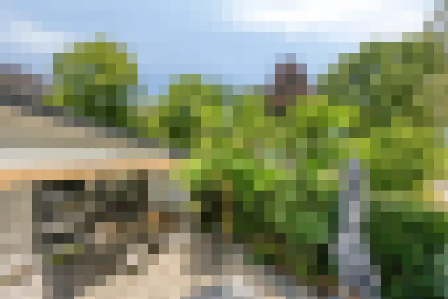 De Stille Wille 319 Oost West en Middelbeers thumbnail 44