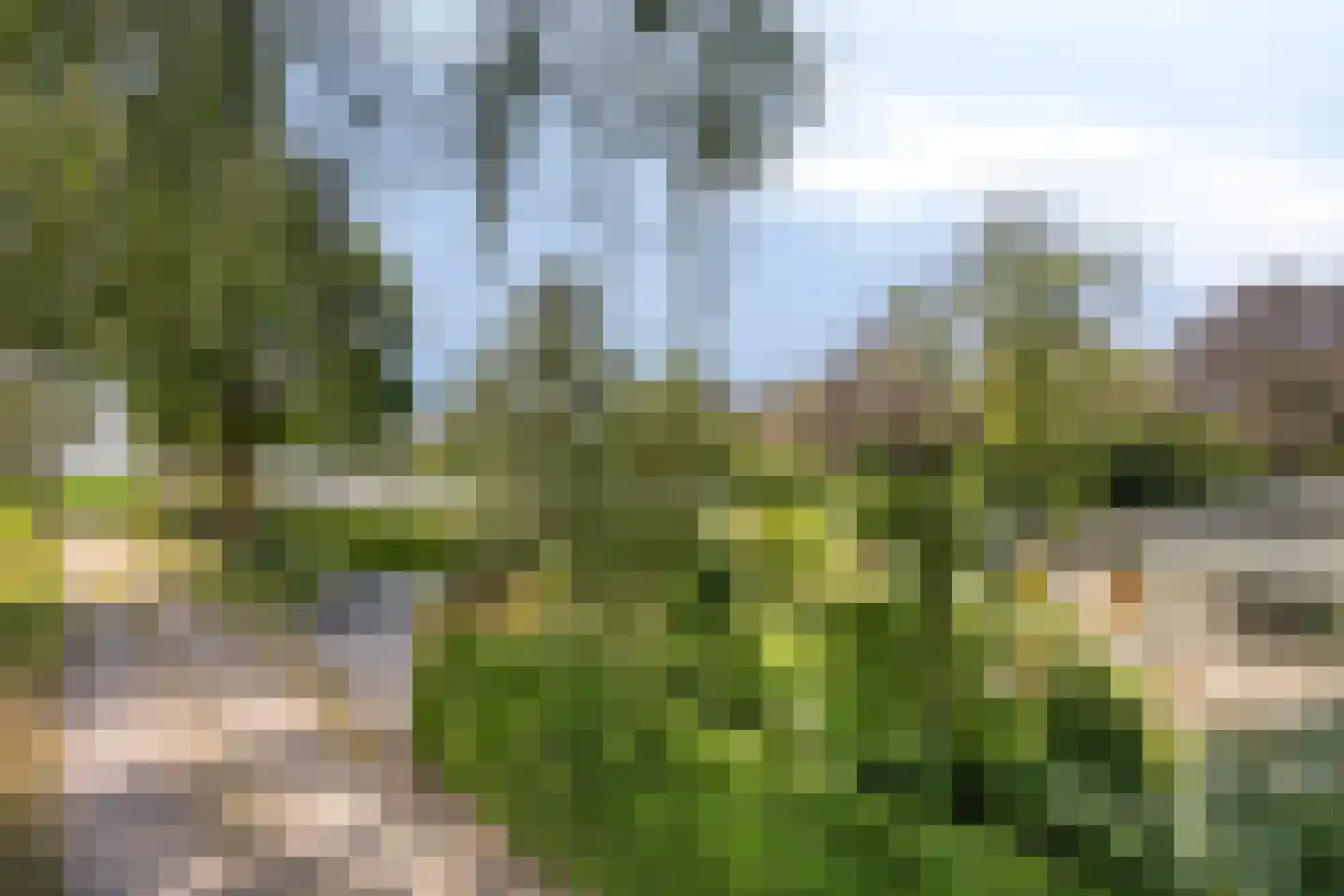 De Stille Wille 319 Oost West en Middelbeers thumbnail 45