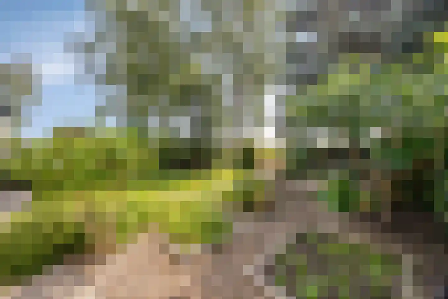 De Stille Wille 319 Oost West en Middelbeers thumbnail 48