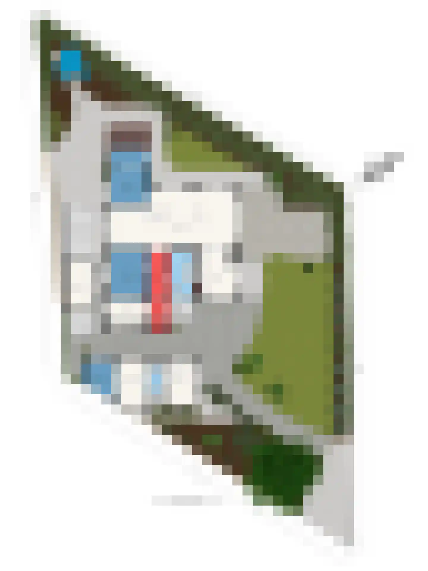 De Stille Wille 319 Oost West en Middelbeers thumbnail 49