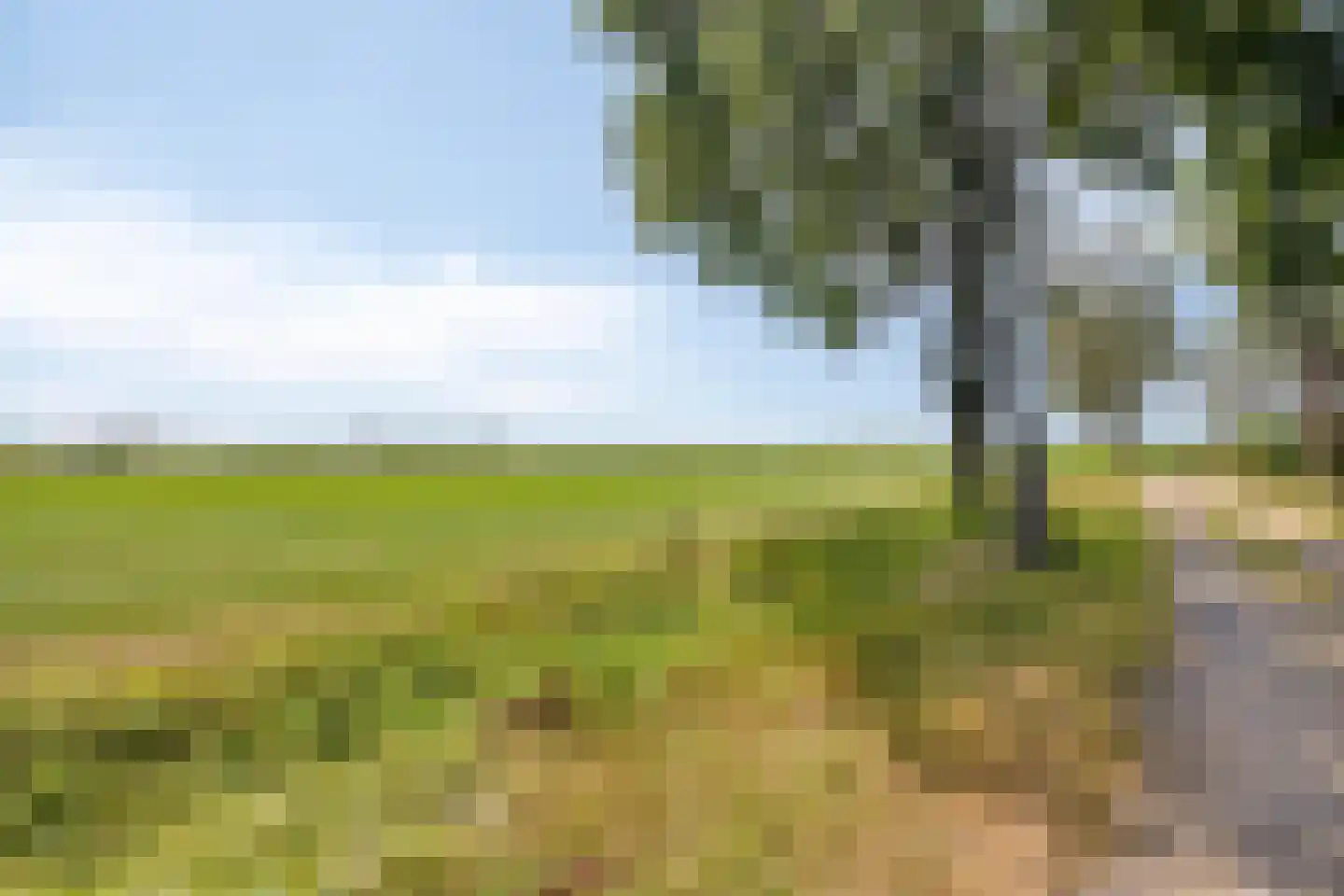 De Stille Wille 319 Oost West en Middelbeers thumbnail 9