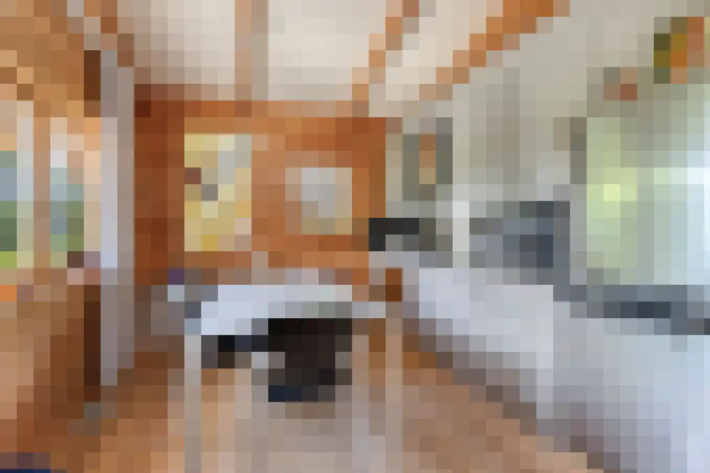 De Stille Wille 322 Oost West en Middelbeers thumbnail 17