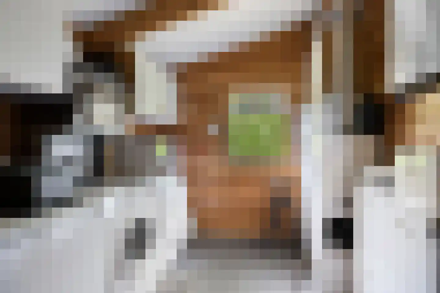 De Stille Wille 322 Oost West en Middelbeers thumbnail 24