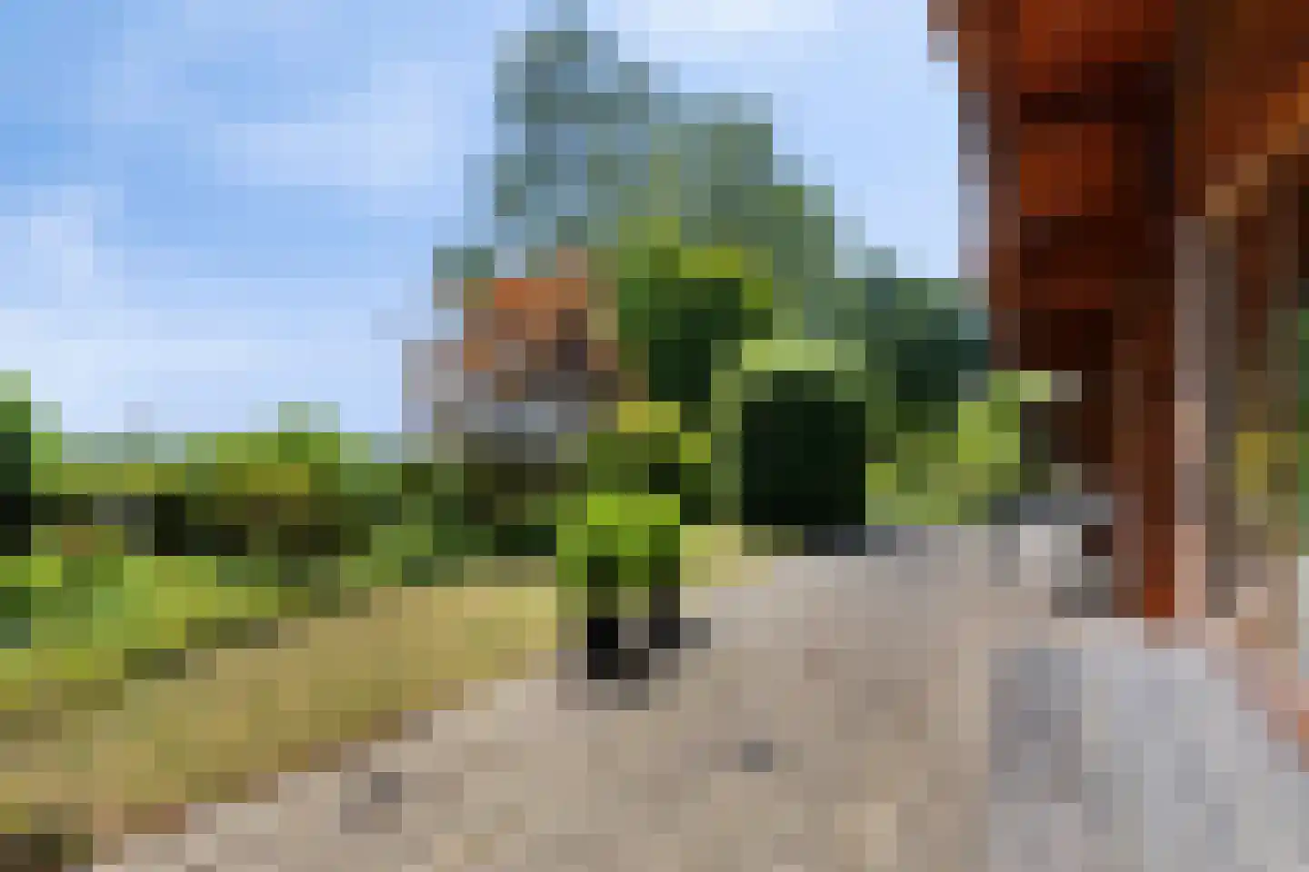 De Stille Wille 322 Oost West en Middelbeers thumbnail 27