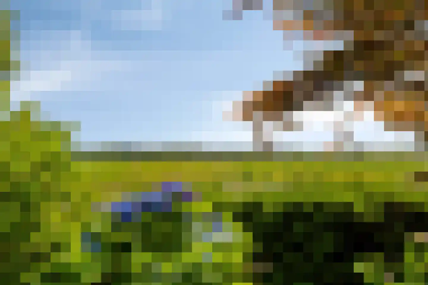 De Stille Wille 322 Oost West en Middelbeers thumbnail 28