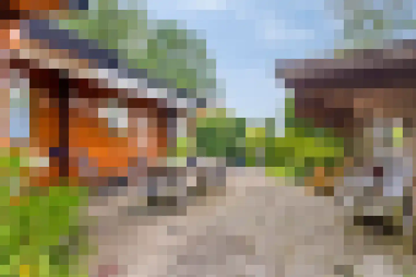 De Stille Wille 322 Oost West en Middelbeers thumbnail 29