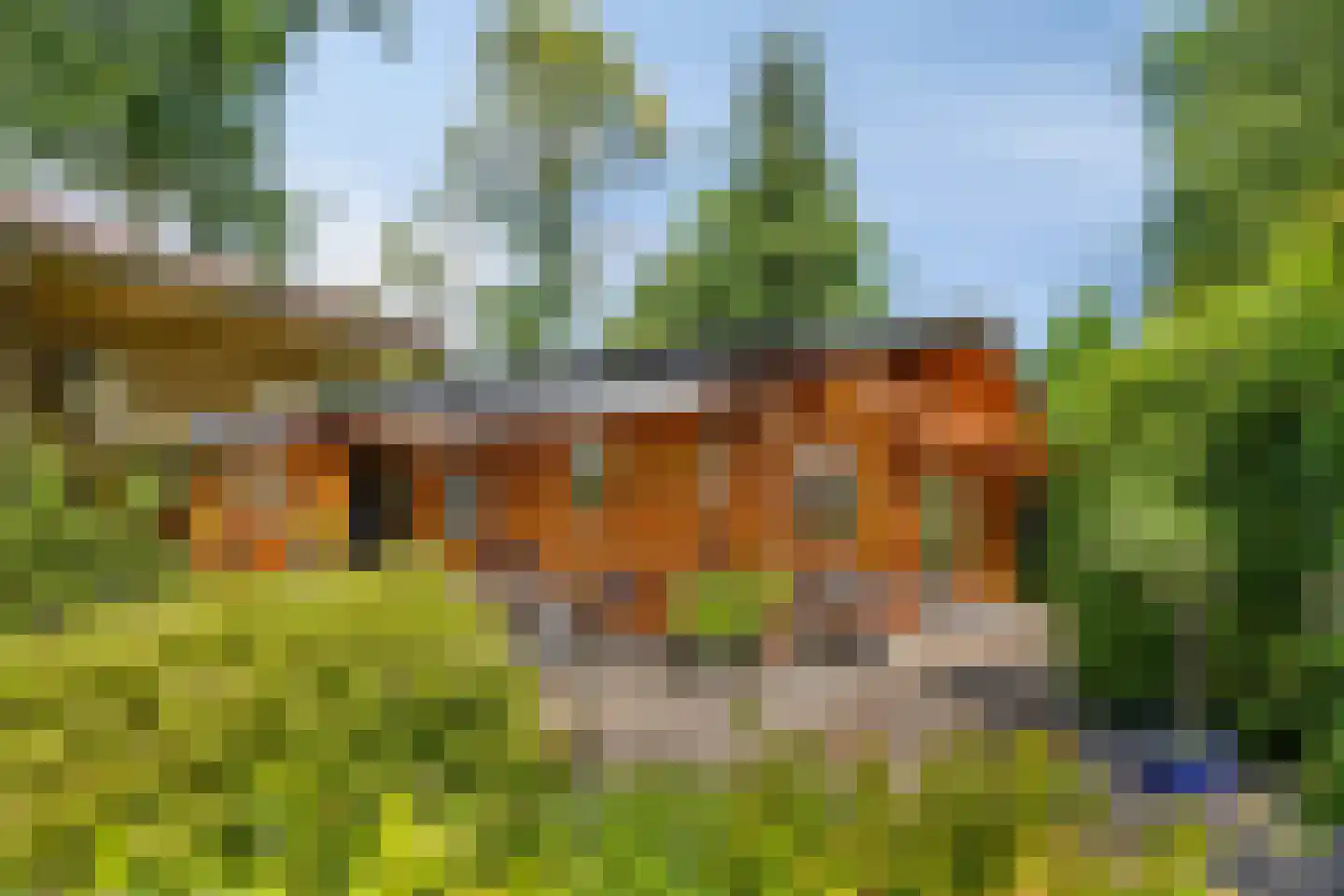 De Stille Wille 322 Oost West en Middelbeers thumbnail 30