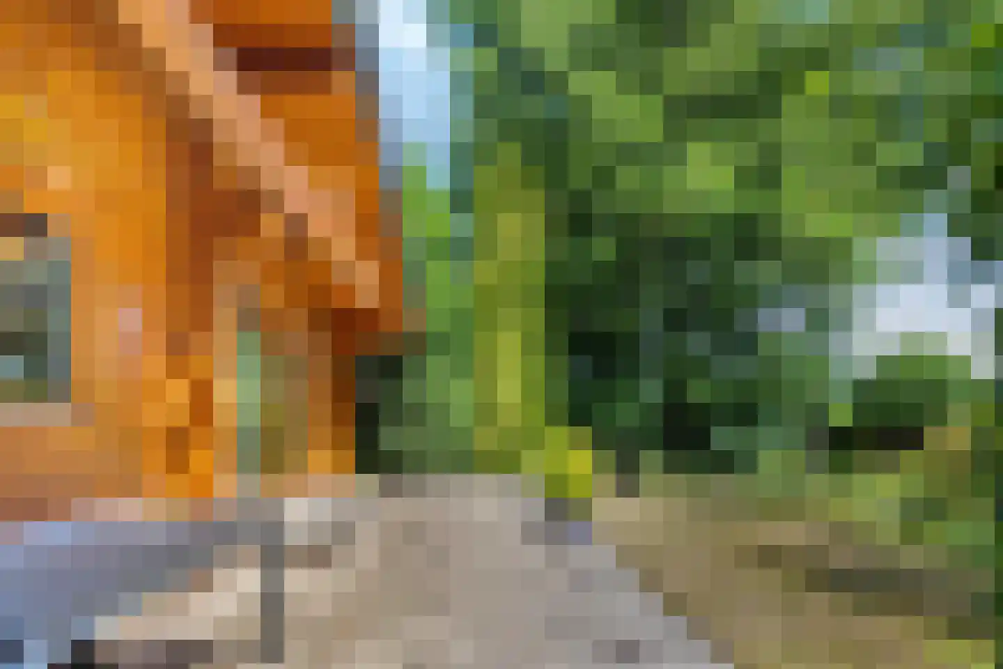 De Stille Wille 322 Oost West en Middelbeers thumbnail 31