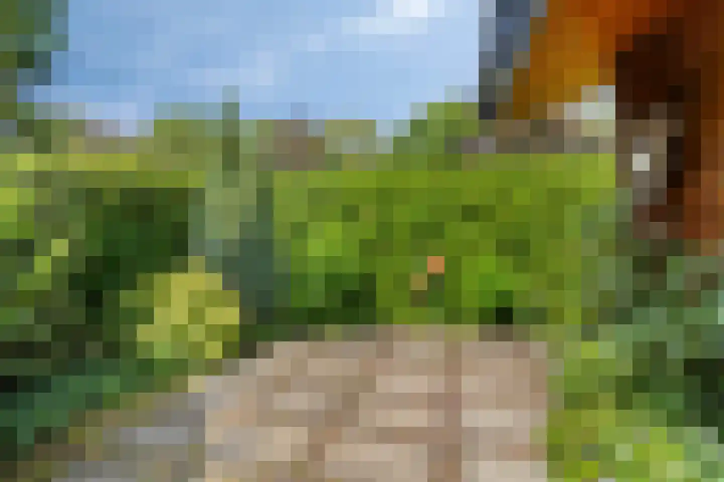 De Stille Wille 322 Oost West en Middelbeers thumbnail 33