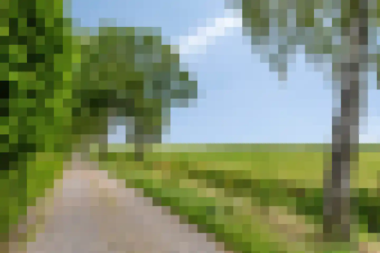 De Stille Wille 322 Oost West en Middelbeers thumbnail 6