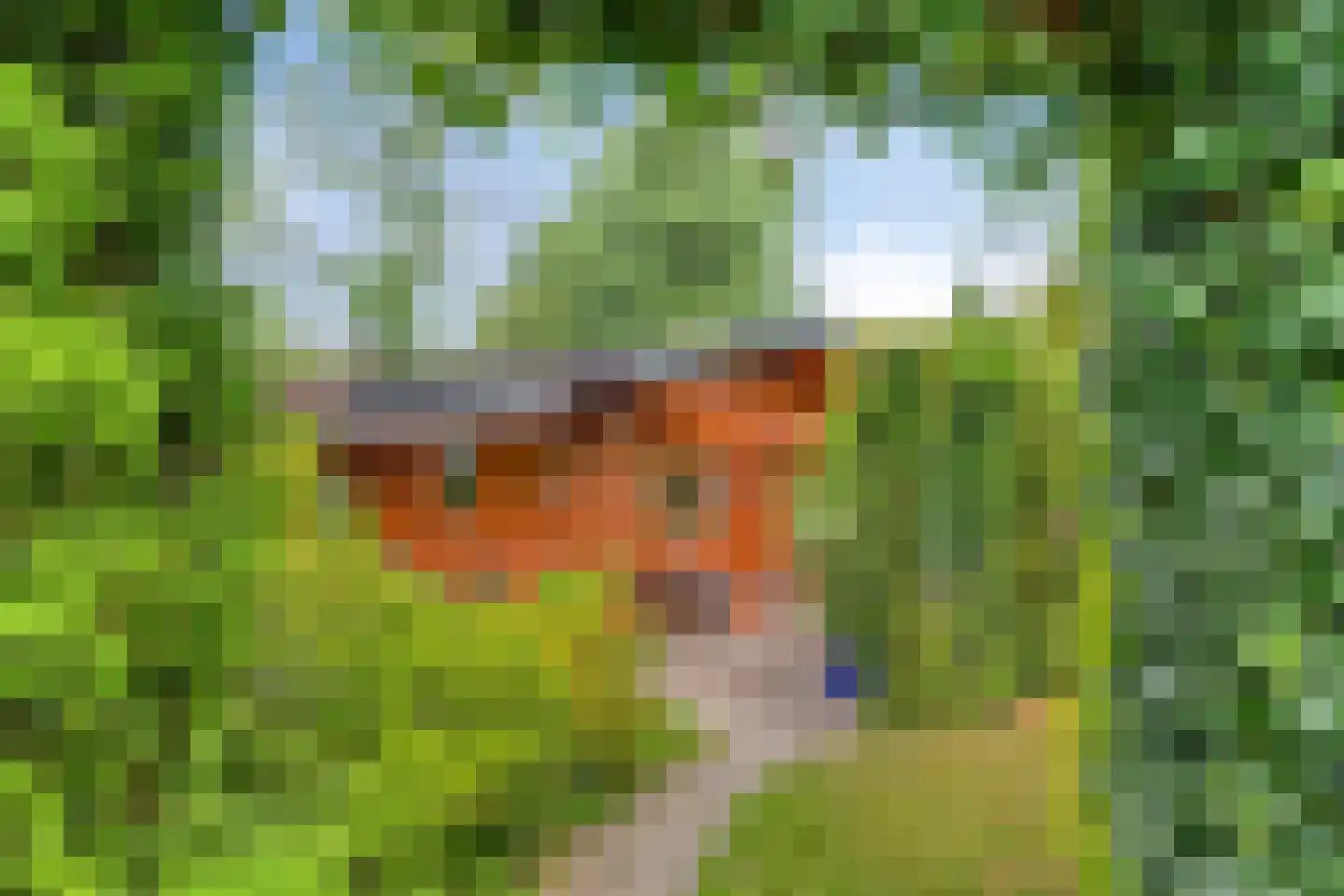 De Stille Wille 322 Oost West en Middelbeers thumbnail 7