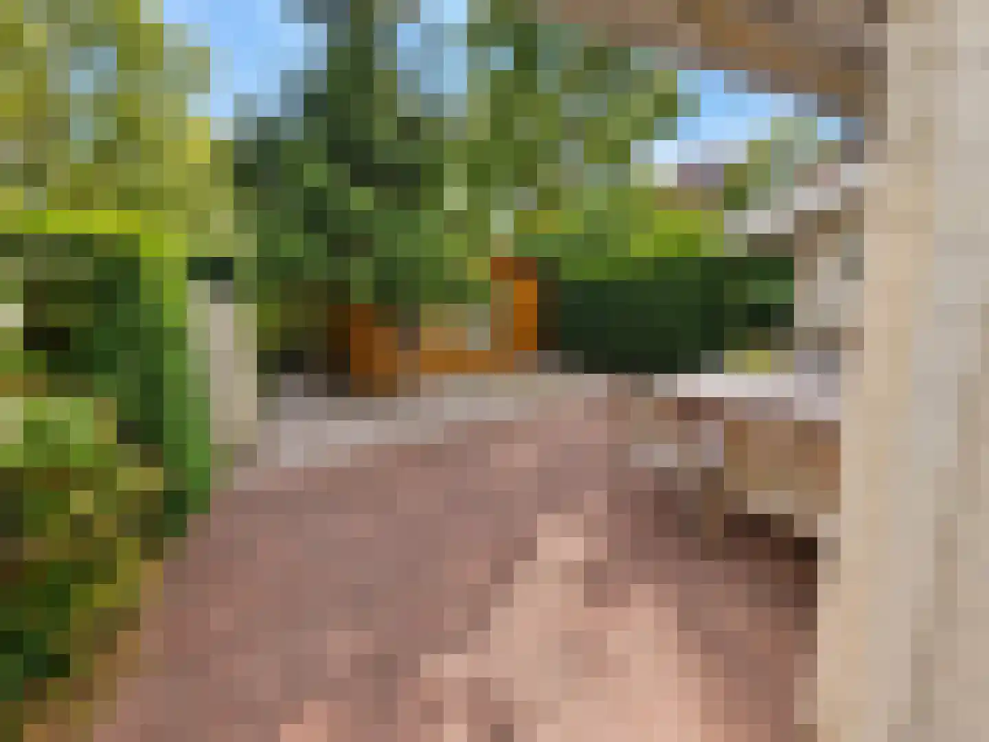 De Stille Wille 324 Oost West en Middelbeers thumbnail 10