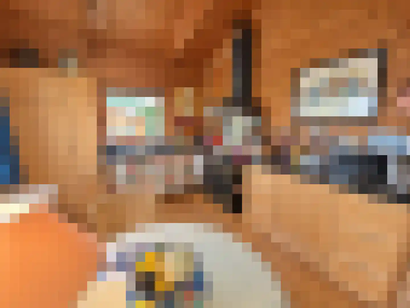 De Stille Wille 324 Oost West en Middelbeers thumbnail 12