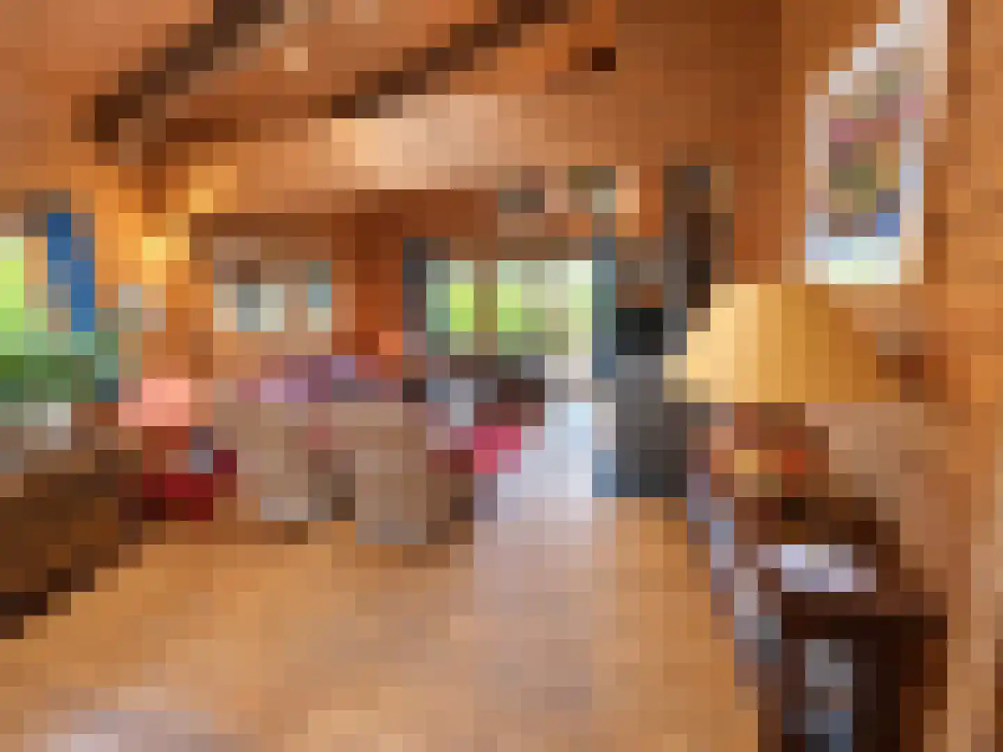 De Stille Wille 324 Oost West en Middelbeers thumbnail 7
