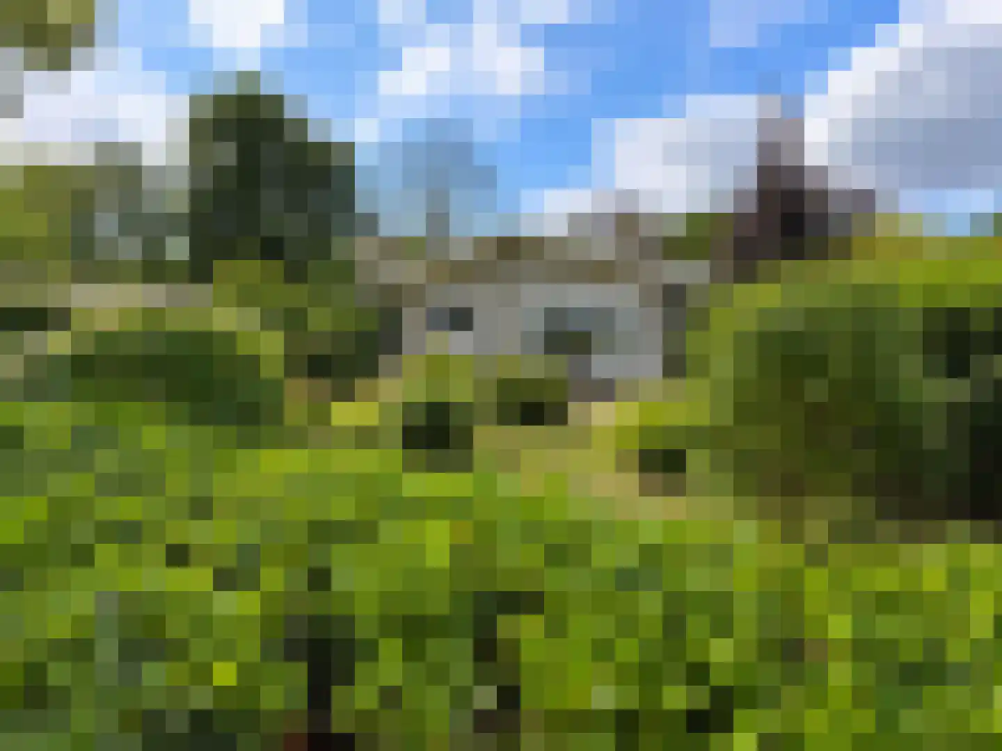 De Stille Wille 324 Oost West en Middelbeers thumbnail 9