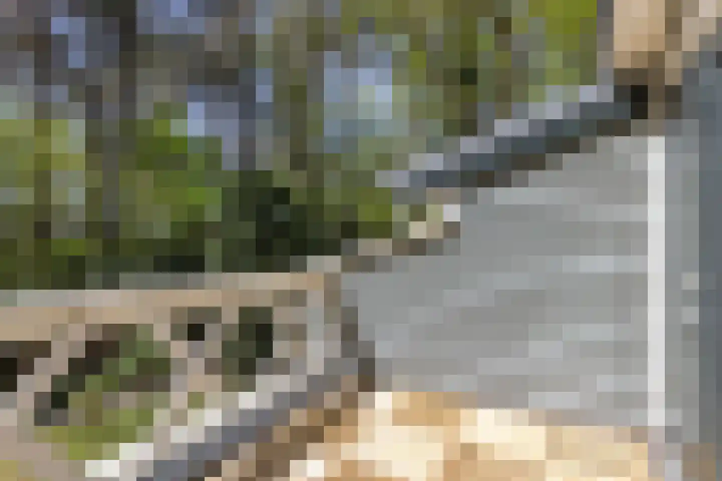 De Stille Wille 4 Oost West en Middelbeers thumbnail 23