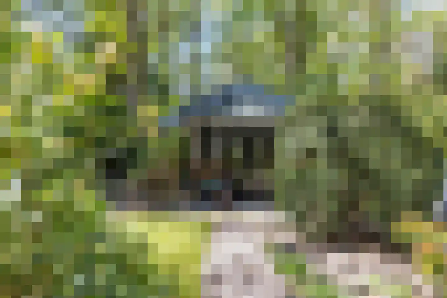De Stille Wille 4 Oost West en Middelbeers thumbnail 35