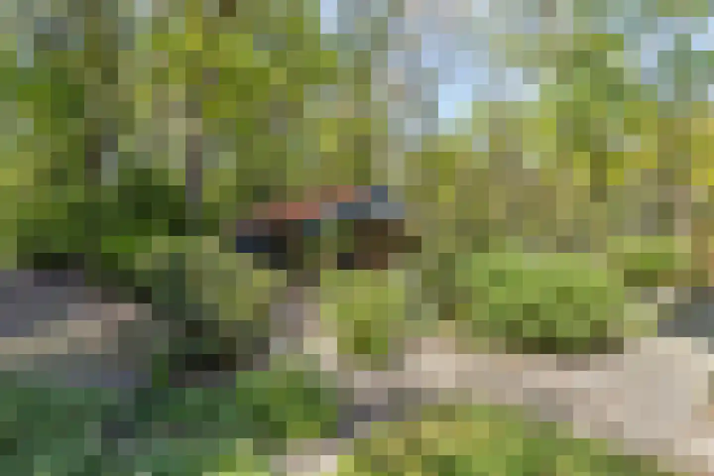 De Stille Wille 4 Oost West en Middelbeers thumbnail 36