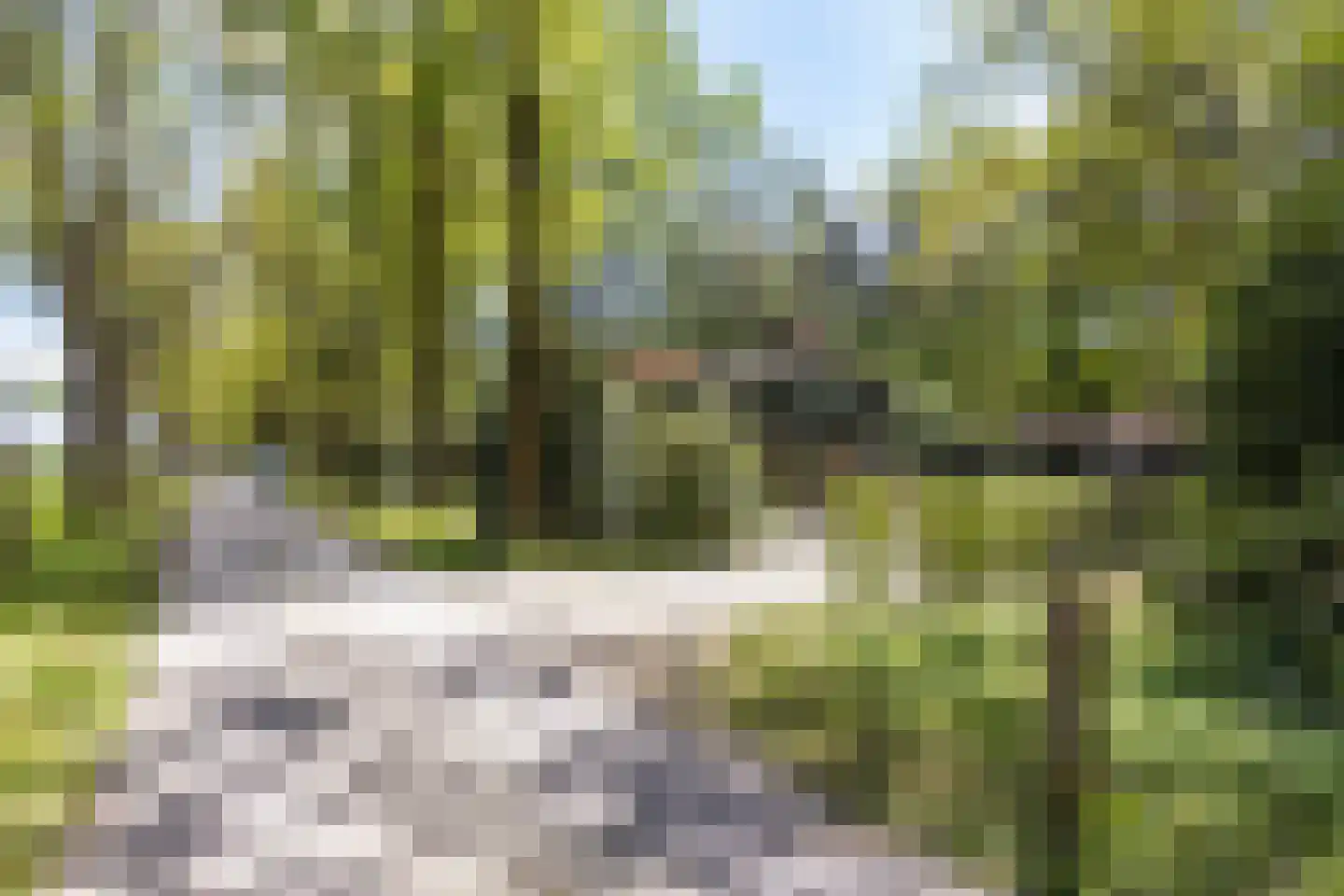 De Stille Wille 4 Oost West en Middelbeers thumbnail 38