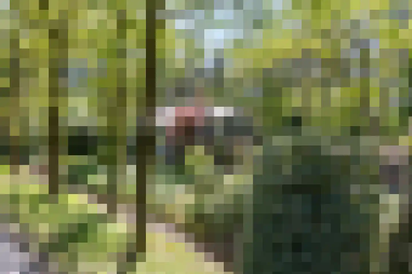 De Stille Wille 4 Oost West en Middelbeers thumbnail 39