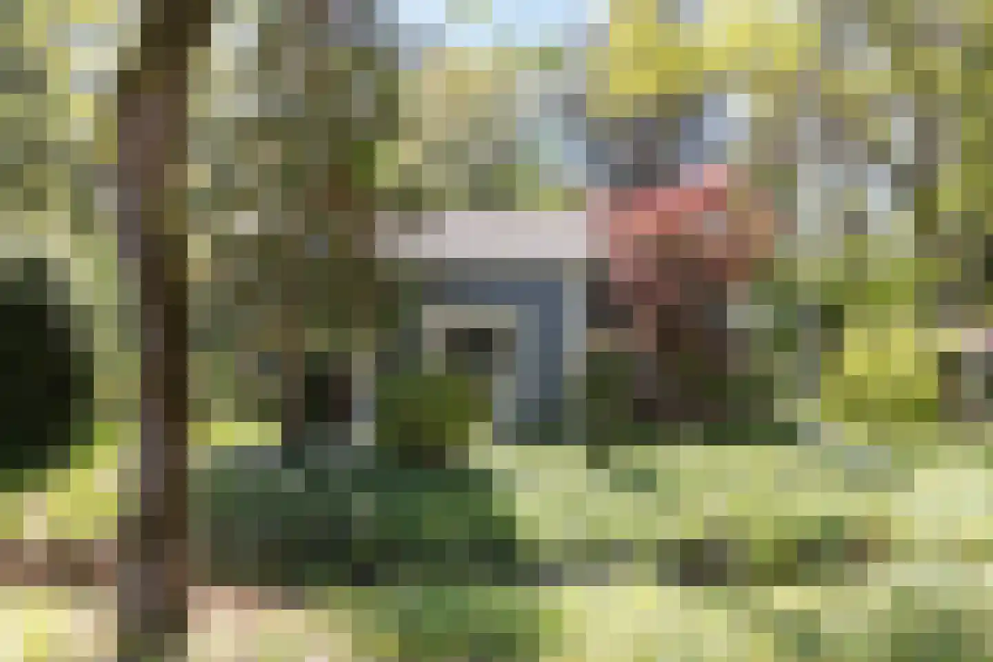 De Stille Wille 4 Oost West en Middelbeers thumbnail 40