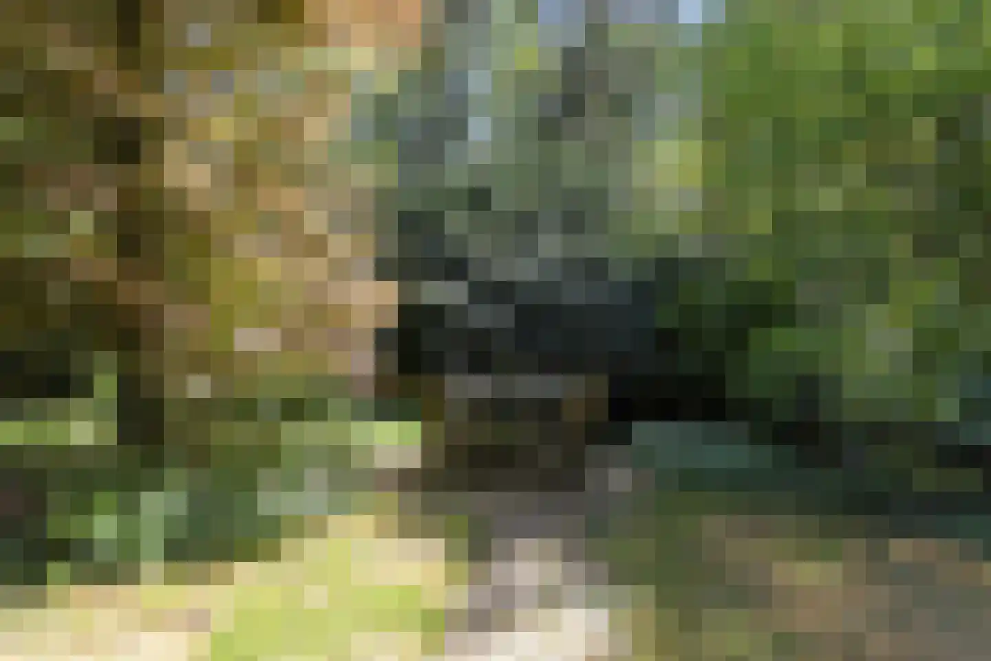 De Stille Wille 4 Oost West en Middelbeers thumbnail 42