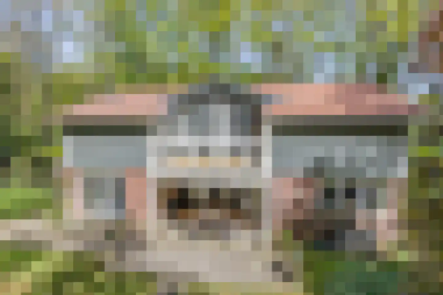 De Stille Wille 4 Oost West en Middelbeers thumbnail 43
