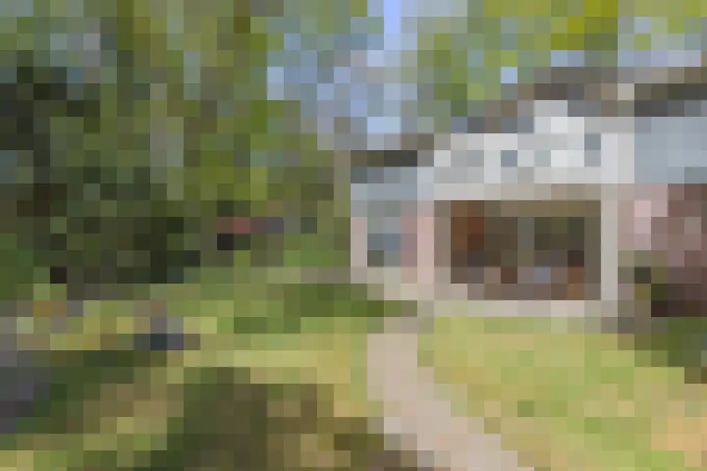 De Stille Wille 4 Oost West en Middelbeers thumbnail 45