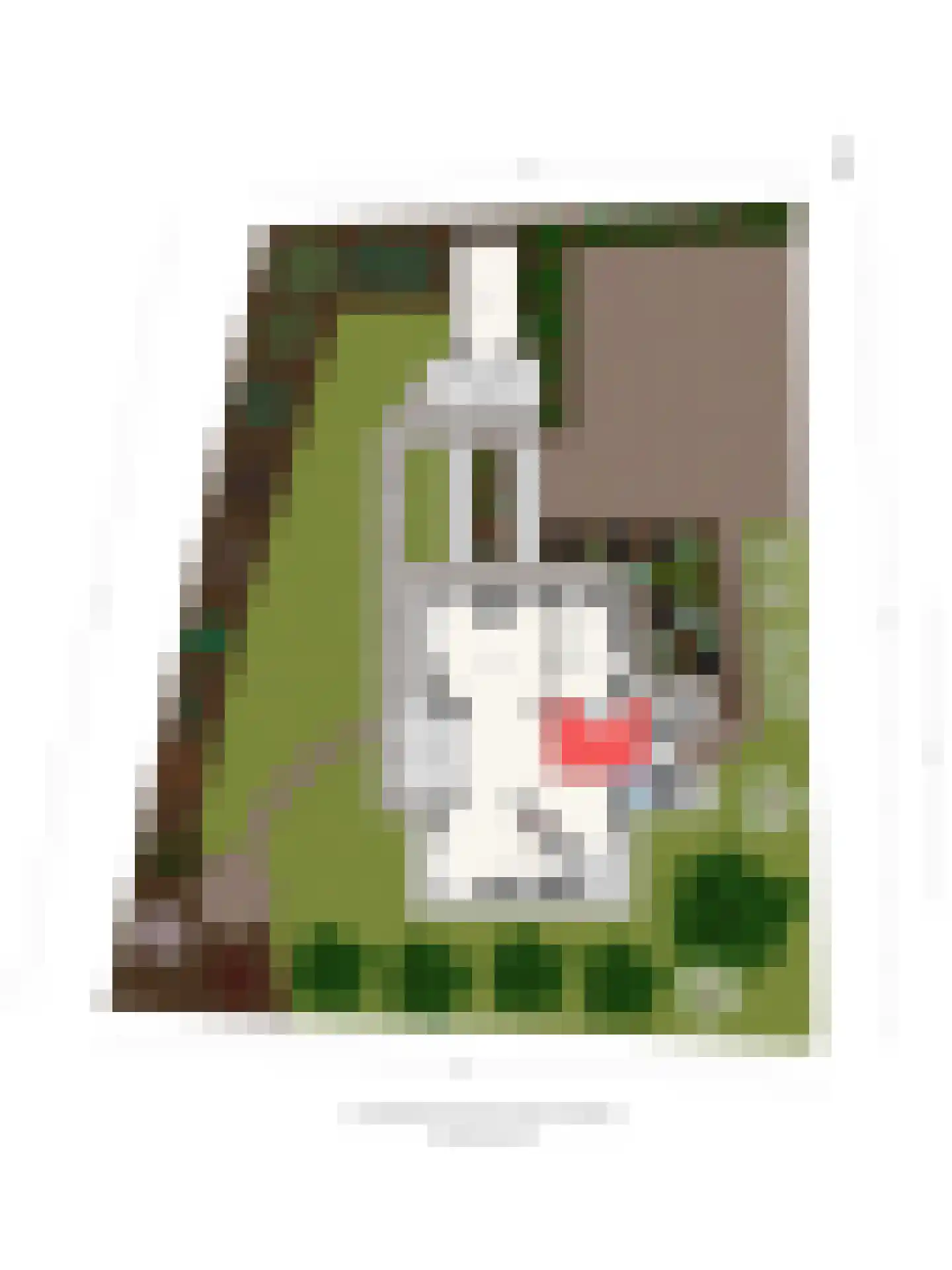 De Stille Wille 4 Oost West en Middelbeers thumbnail 6
