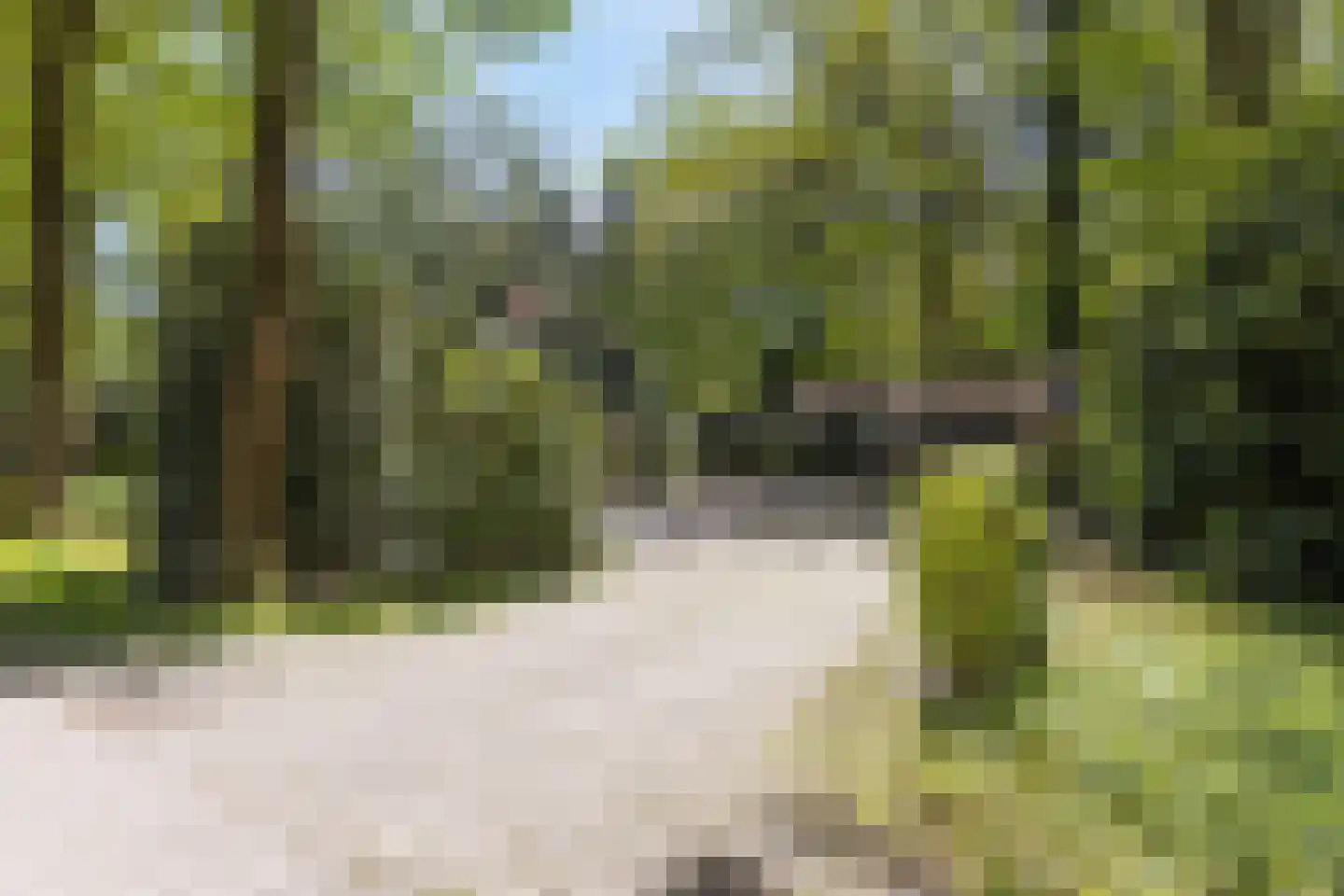 De Stille Wille 4 Oost West en Middelbeers thumbnail 8
