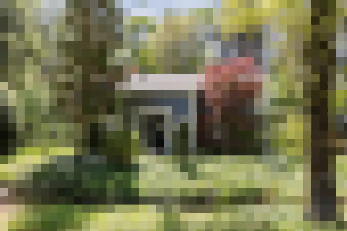 De Stille Wille 4 Oost West en Middelbeers thumbnail 9