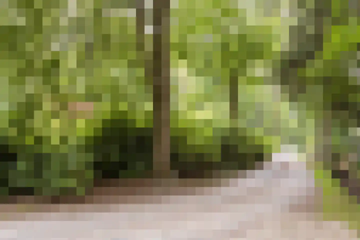 De Stille Wille 49 Oost West en Middelbeers thumbnail 22