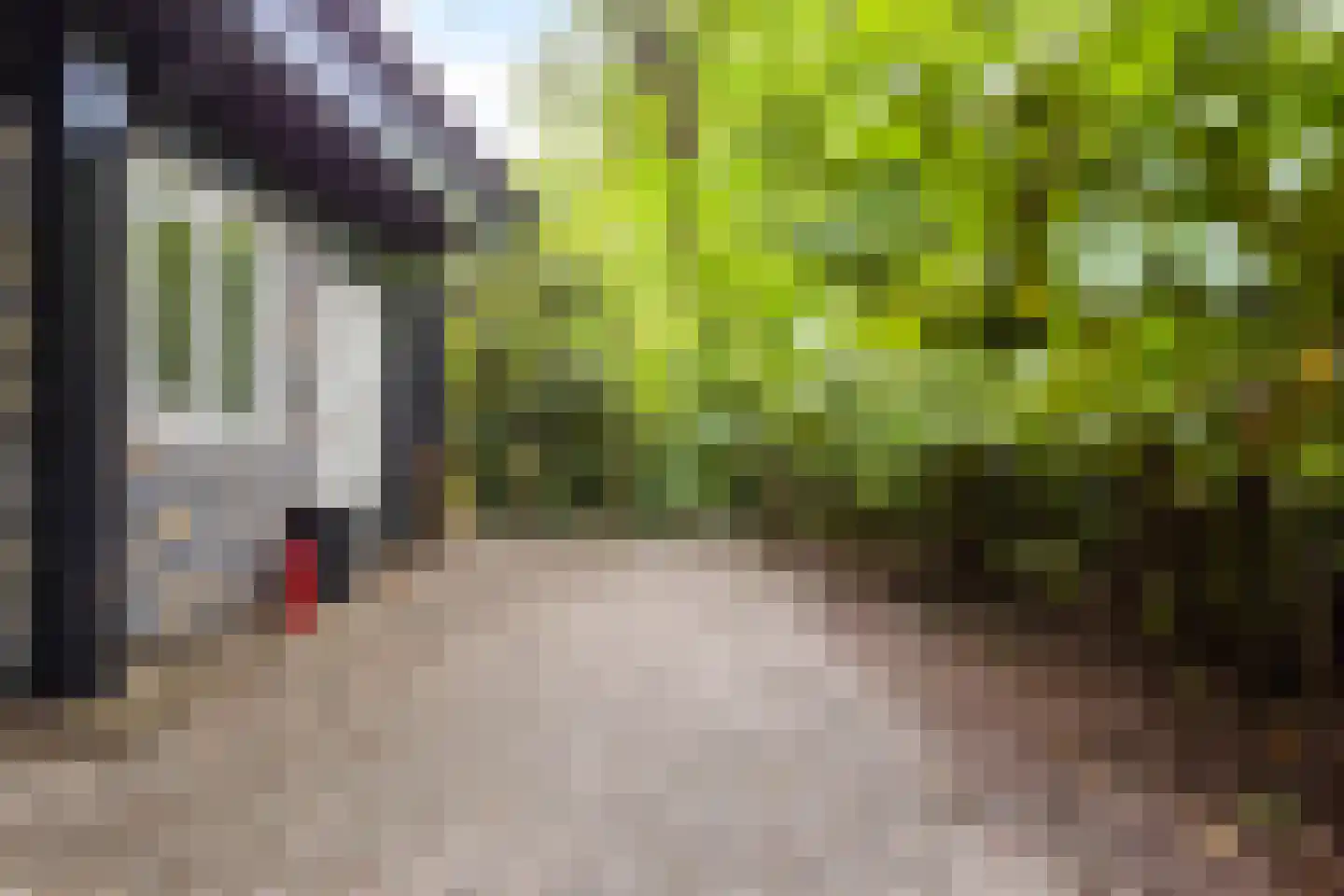De Stille Wille 49 Oost West en Middelbeers thumbnail 24