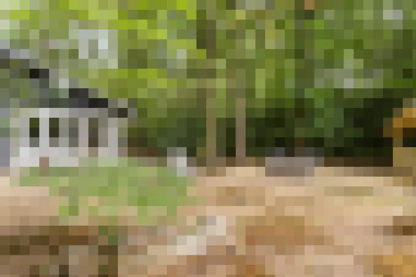 De Stille Wille 49 Oost West en Middelbeers thumbnail 25