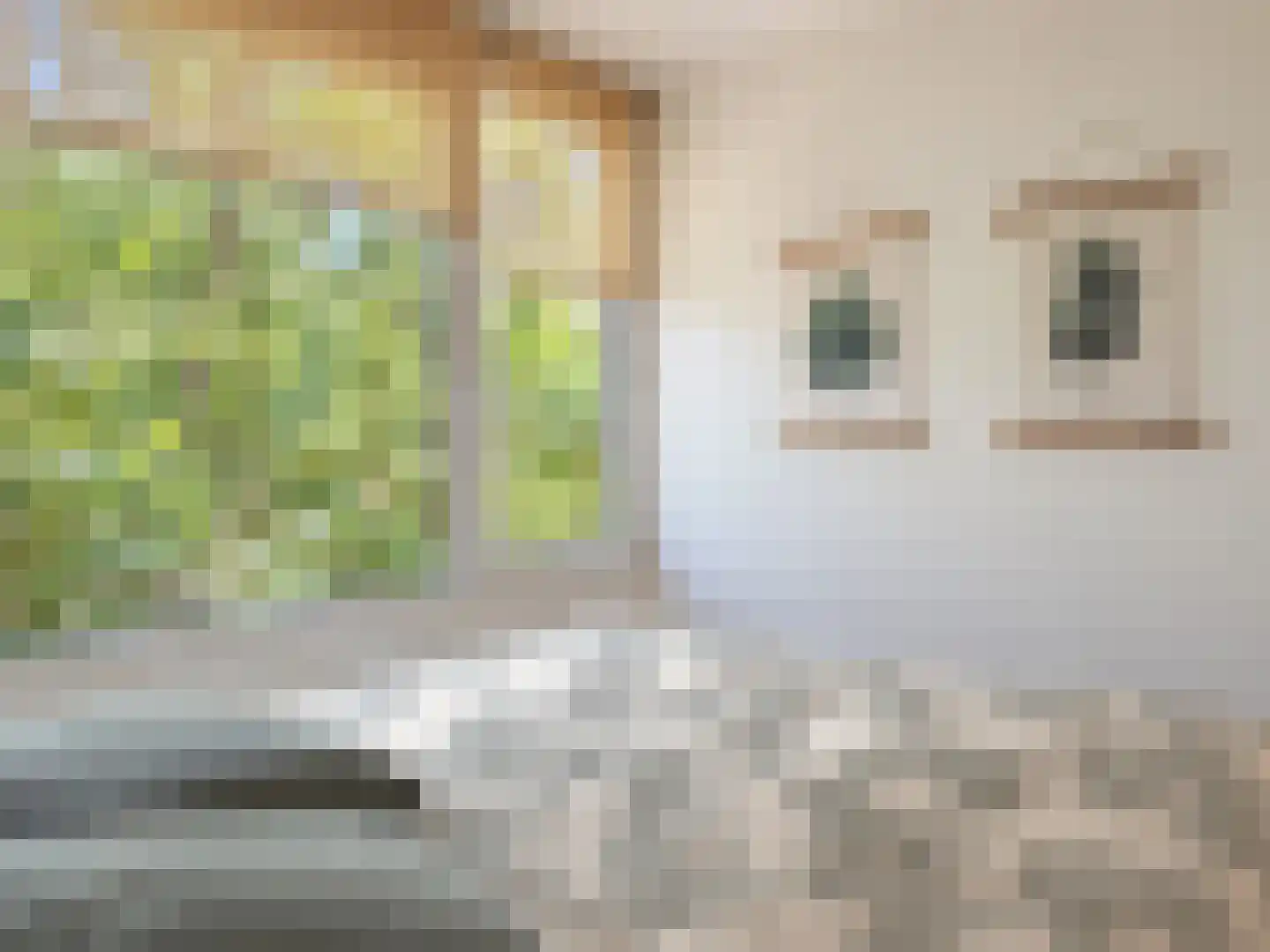 De Stille Wille 5 Oost West en Middelbeers thumbnail 10