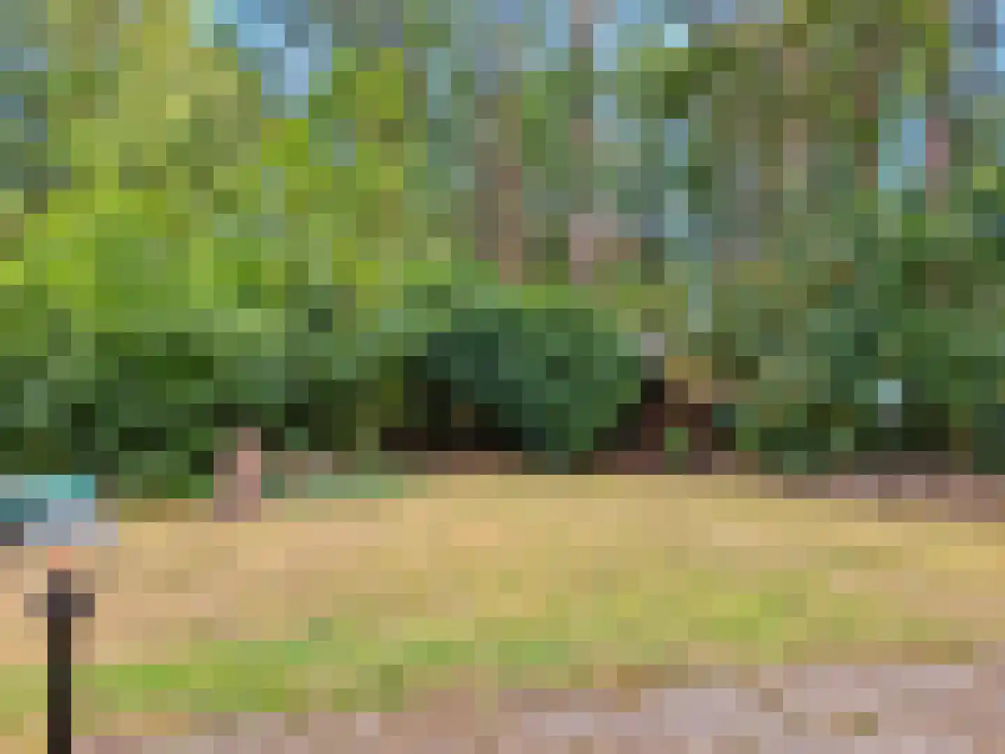 De Stille Wille 5 Oost West en Middelbeers thumbnail 5