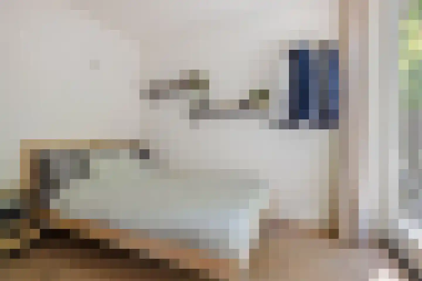 De Stille Wille 51 Oost West en Middelbeers thumbnail 23